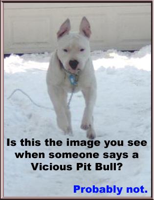 <img:stuff/Snoopy_Run.jpg>