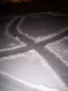 <img100*0:stuff/Snow_fish.jpg>