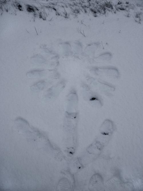 <img500*666:stuff/Snowflower.jpg>