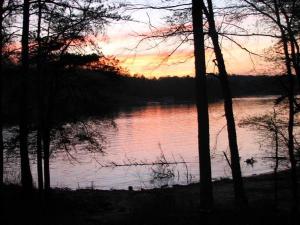 <img300*0:stuff/Soaking_in_the_Colors.jpg>