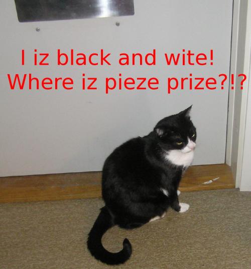 <img500*0:stuff/Sonic_Peace_Prize.jpg>