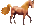 <img:stuff/SorHorse_left_test_rev.gif>