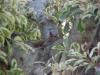 <img100*0:stuff/Squirrel_on_a_tree.jpg>