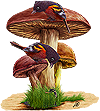 <img:stuff/SssssHiding100.png>