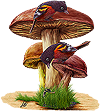 <img:stuff/SssssHiding100_rev.png>