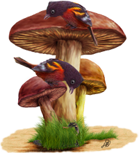 <img:stuff/SssssHiding200.png>