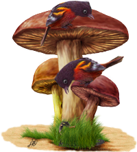 <img:http://elftown.heddate.com/stuff/SssssHiding200_rev.png>