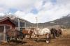 <img100*0:stuff/Stables%20001.JPG>