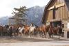 <img100*0:stuff/Stables%20020.JPG>