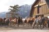<img100*0:stuff/Stables%20026.JPG>