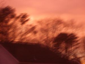 <img300*0:stuff/Starlight_In_Your_Eyes.jpg>