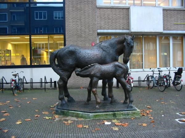 <img600*0:stuff/StatuehorseUtrecht.jpg>