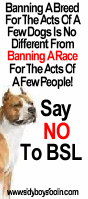 <img:stuff/Stop_BreedSpecificLegislation.gif>
