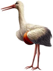 <img:stuff/Stork_left-bsktbll.png>