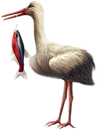 <img:stuff/Stork_left-fish.png>