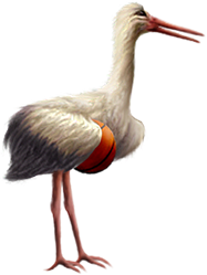 <img:stuff/Stork_right-bsktbll.png>