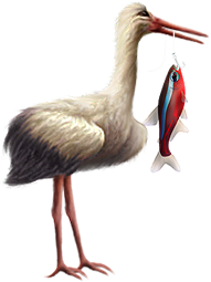 <img:stuff/Stork_right-fish.png>