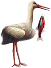 <img:stuff/Stork_right-fish_SM.png>