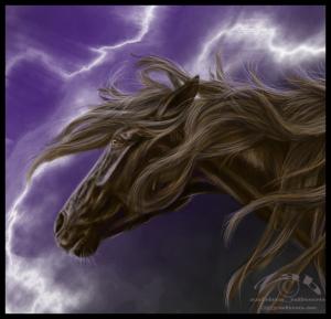 <img300*0:stuff/Stormyhorse.jpg>