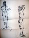 <img100*0:stuff/Study4.jpg>