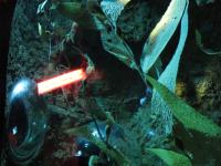 <img200*0:stuff/Submarine_IV.jpg>