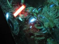 <img200*0:stuff/Submarine_V.jpg>
