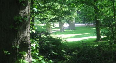 <img400*0:stuff/SummerJanouk-temporary.jpg>
