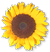 <img:stuff/SunFlwrBullet.png>