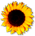 <img:stuff/SunFlwrBullet2.png>