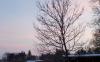 <img100*0:stuff/Sunset_Tree.jpg>