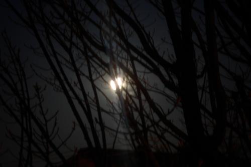 <img500*333:stuff/SuperMoon12.jpg>