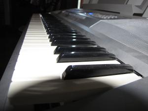 <img300*0:stuff/SythesizerPiano_Keys.jpg>