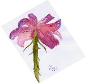 <img300*0:http://elftown.heddate.com/stuff/Take_the_Thorns_With_the_Flower.jpg>