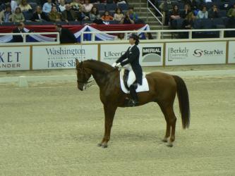 <img0*250:stuff/Tallest_dressage_horse_.jpg>