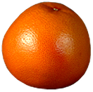 <img:stuff/Tangerine.png>