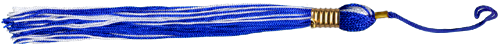 <img:stuff/TasselDiv_Blue.png>