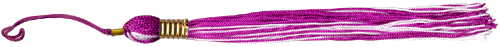 <img:stuff/TasselDiv_Pink_rev.png>