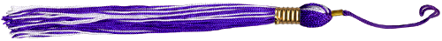 <img:stuff/TasselDiv_Purple.png>