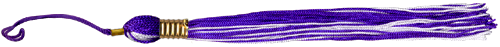 <img:stuff/TasselDiv_Purple_rev.png>