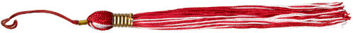 <img:stuff/TasselDiv_Red_rev.png>