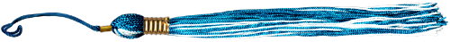 <img:stuff/TasselDiv_Turq_rev.png>