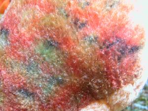 <img300*0:stuff/Texture_2.jpg>