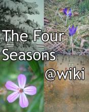 <img175*0:http://elftown.heddate.com/stuff/TheFourSeasonsJanouk.jpg>