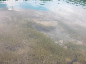 <img300*0:stuff/The_Deep_End.jpg>