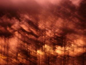 <img300*0:stuff/The_Scars_On_My_Name.jpg>