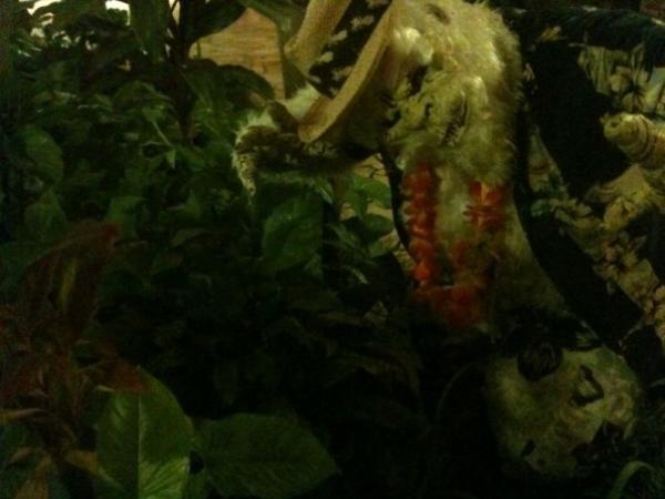 <img600*0:stuff/The_lair_of_the_beast.jpg>