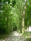 <img100*0:stuff/The_path.jpg>
