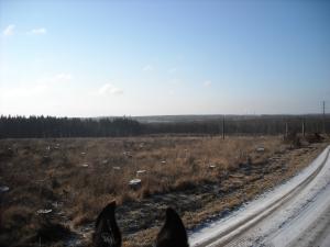 <img300*0:stuff/There_are_a_few_riders_out_there..jpg>
