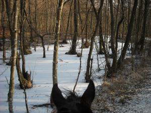 <img300*0:stuff/This_was_scary%21.jpg>