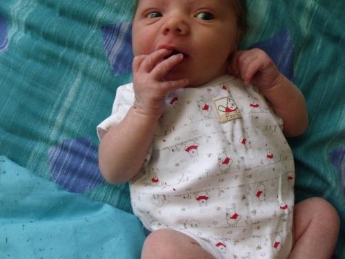 <img500*375:stuff/Thomas_Edward3.jpg>